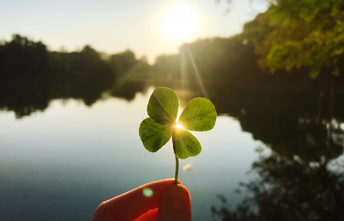Manifestazioni a premio, scopri come funzionano