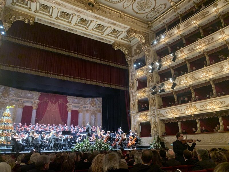 Concerto sotto l'albero