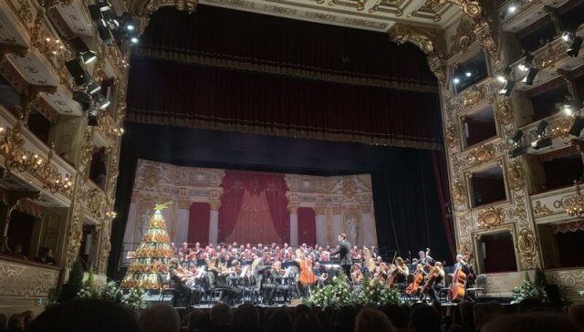 Concerto sotto l'albero